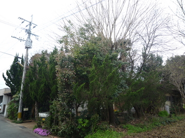P1030035.JPG