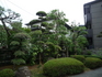 P1030135.JPG