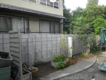 RIMG0047.JPG