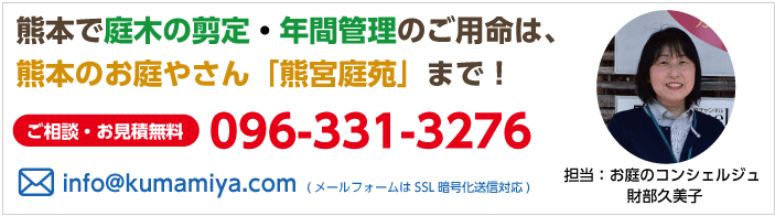 熊本で庭木の剪定・年間管理のご用命は、熊本のお庭やさん「熊宮庭苑」まで！