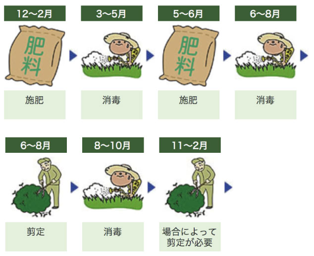お庭の年間管理